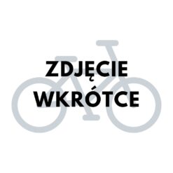 rower górski tabou wizz 29 3.0 2022